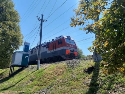 В России на сентябрь назначено более тысячи дополнительных поездов