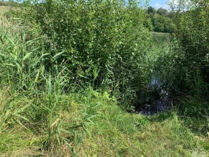 В Тамбове в Ласковском карьере утонул 29-летний мужчина