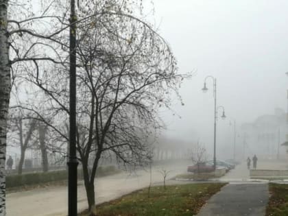 В Тамбовской области посчитали души и их доходы