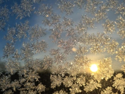 Синоптики предупреждают тамбовчан о возможных заморозках
