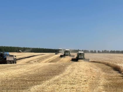 Экспорт продукции АПК Тамбовской области растет
