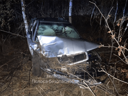 В Уваровском округе иномарка улетела в кювет: водитель погиб