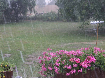 Прогноз погоды на предстоящую рабочую неделю