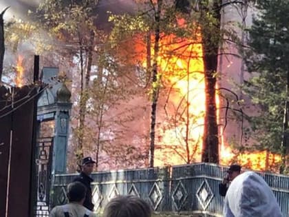 В Пригородном лесу произошёл пожар