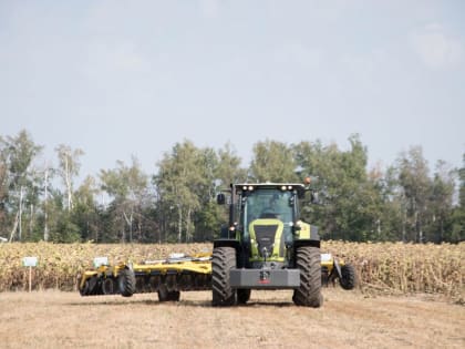 В Тамбовской области собрали более четырех миллионов тонн зерна, уборка продолжается