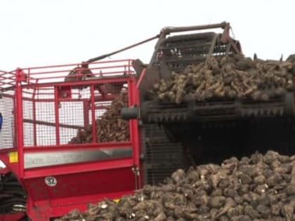 Валовой сбор урожая в Притамбовье составил около 301 тысячи тонн зерна