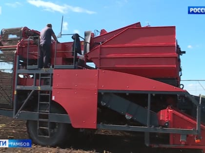 Уборку сахарной свёклы и кукурузы в регионе планируют завершить в ноябре