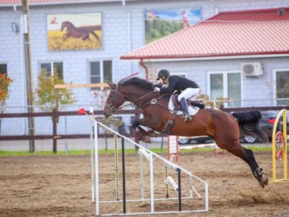 Стали известны чемпионы Тамбовской области по конкуру