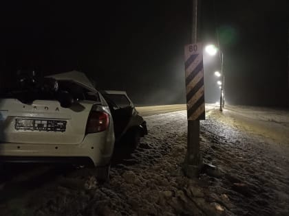 На трассе под Тамбовом «Гранта» влетела в столб: двое пострадали