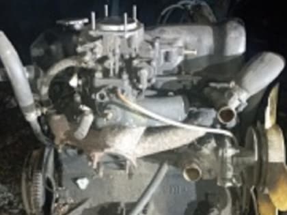 У тамбовчанина с крыльца дома ночью украли двигатель от машины