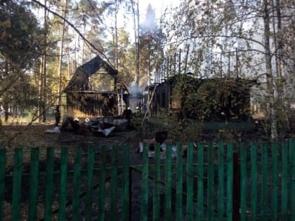 В Пригородном лесу случился сильный пожар