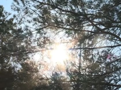 Жителей и гостей Тамбовской области предупреждают о сильном ветре