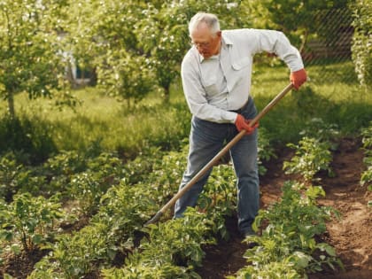 В Тамбовской области надбавку за сельский стаж получают более 13 тысяч неработающих пенсионеров