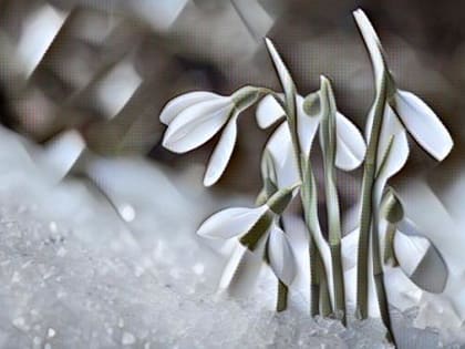 В Тамбове потеплеет до +10 градусов