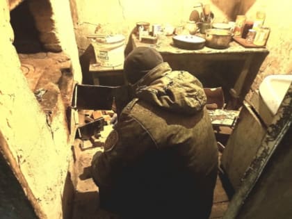 Следователи выясняют обстоятельства убийства пенсионерки в д. Кугушево Тамбовского района