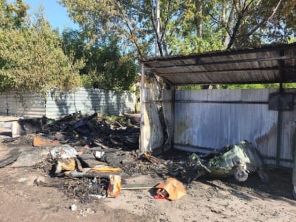 Около 30 контейнеров для мусора  повреждено огнем в Тамбове почти за полгода