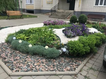 В Тамбов вновь пройдёт конкурс «Тамбов в цвету»