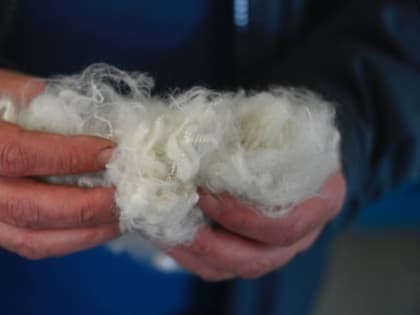 Рассказовское предприятие перерабатывает использованный пластик в полиэфирное волокно