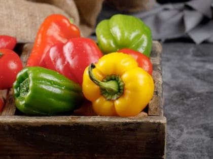 Врач рассказал о неожиданной пользе болгарского перца для пожилых