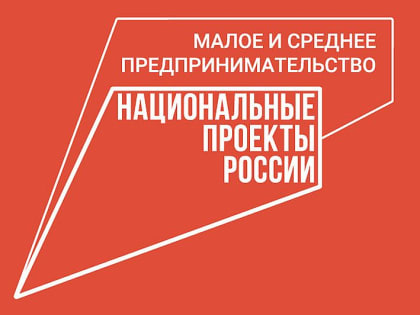 Число социальных предпринимателей в Тамбовской области с начала года выросло вдвое