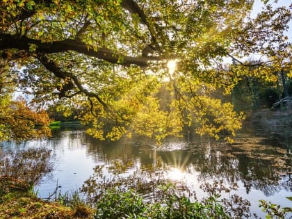 Тамбовчан ждут теплые выходные