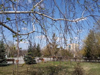 Синоптики обещают Тамбову до 19 градусов тепла на этой неделе