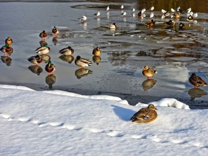 Прогноз погоды на ближайшую неделю