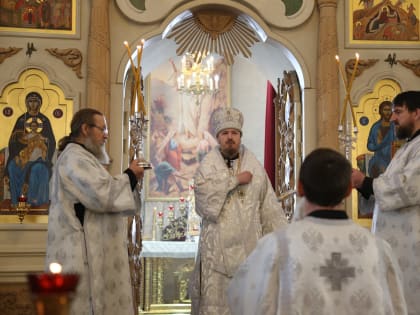 Епископ Игнатий совершил Божественную литургию в Неделю по Богоявлении