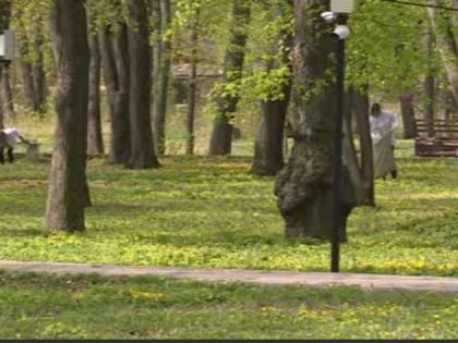 В администрации Тамбова рассказали, где запрещено разведение костров