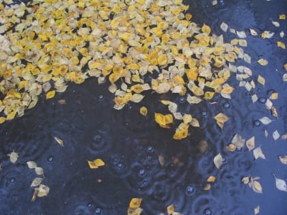 Синоптики прогнозируют пасмурную погоду