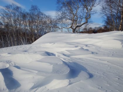 Прогноз погоды на финальную январскую неделю