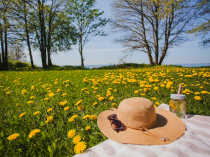 В Роспотребнадзоре рассказали, как выжить на природе в жаркую погоду