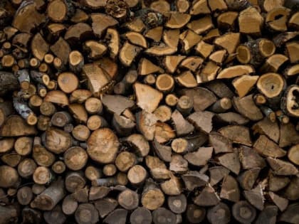 Жители Мучкапского похитили дубовые дрова и стиральную машину