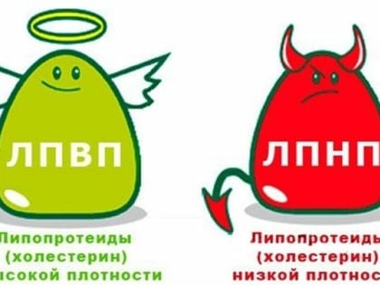 Важным этапом проведения профилактического осмотра и диспансеризации является определения уровня холестерина.