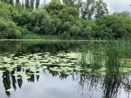 В Моршанске водолазы достали из воды тело мужчины