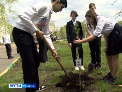 У корпуса 31-й школы Тамбова высадили деревья в память о выпускниках, погибших в СВО