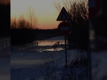 В Мичуринском районе затопило мост через реку Воронеж