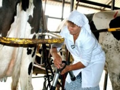 В Тамбовской области создадут дополнительную поддержку семейным предприятиям