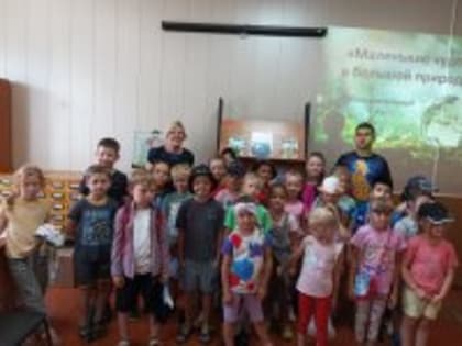 Познавательный час "Маленькие чудеса в большом  природе"