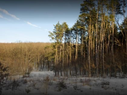 Тамбовскую область проверят на готовность к пожароопасному сезону 2024 года