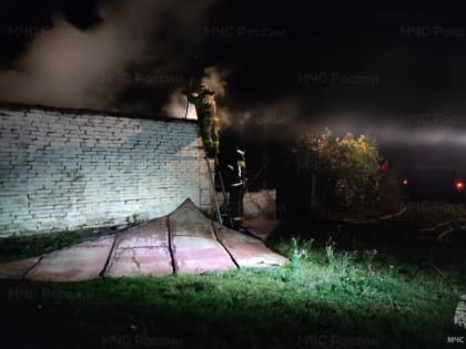 В Тамбовской области в результате пожара в доме погибли двое мужчин