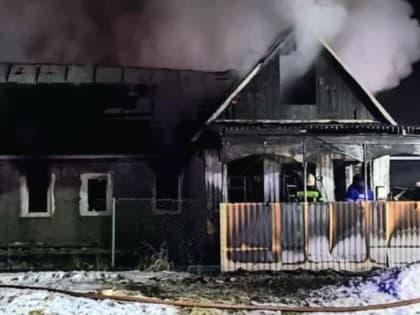 Под Тамбовом при пожаре погибла пожилая супружеская пара