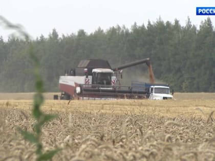 Хлеборобы региона намолотили около 100 тысяч тонн зерна