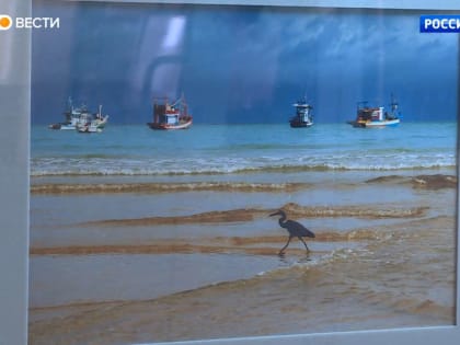 Фрагменты лета на фотовыставке в Пушкинской библиотеке