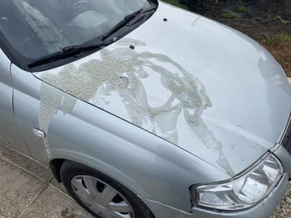 Иномарку тамбовчанина из мести облили растворителем