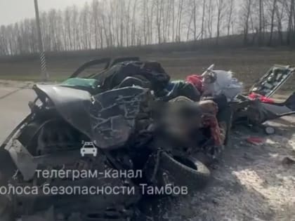 Под Жердевкой «Приора» столкнулась с фурой