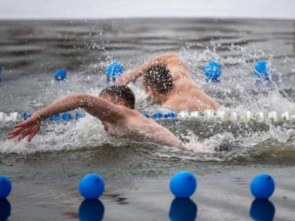 Тамбовские "моржи" привезли с чемпионата по зимнему плаванию 16 медалей