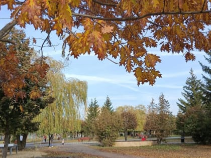 В праздничные выходные в Тамбове ожидается до +13 градусов