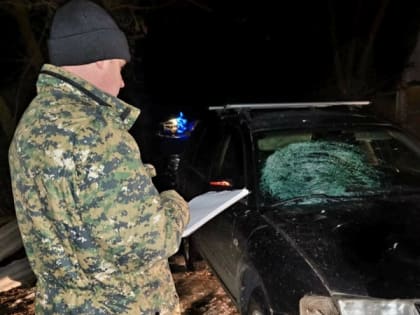 По факту ДТП, в котором погибла школьница, возбудили уголовное дело