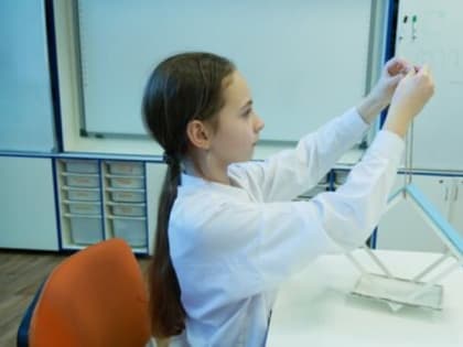 Юные изобретатели из Тамбова смастерили «инженерные» кормушки для птиц